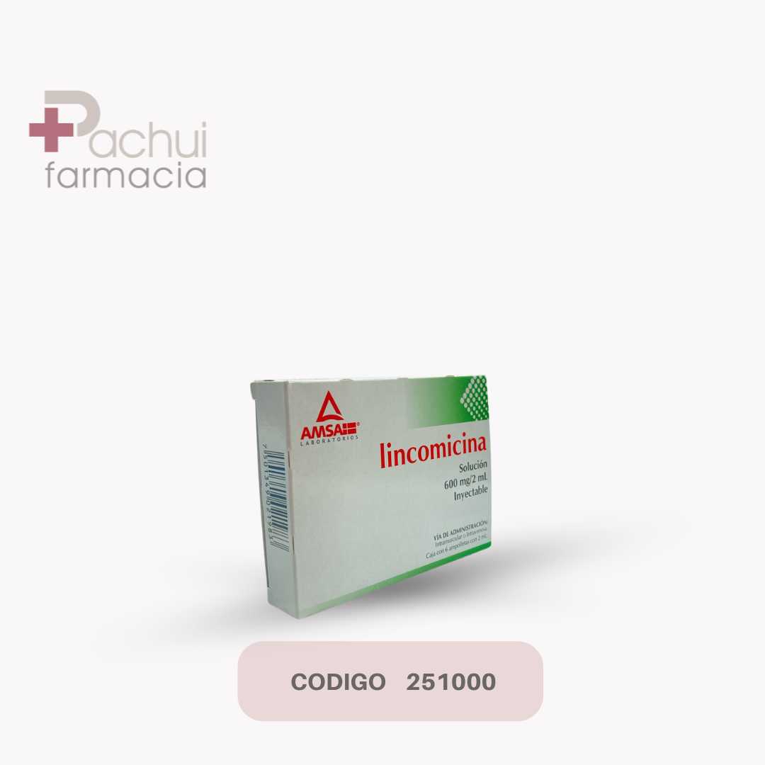 Lincomicina 600 Mg/2 Ml Sol Iny C/6 Amp