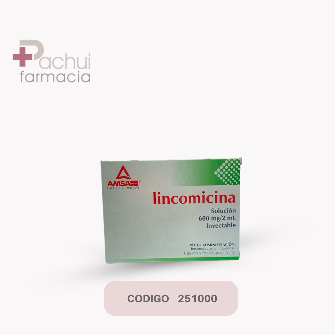 Lincomicina 600 Mg/2 Ml Sol Iny C/6 Amp